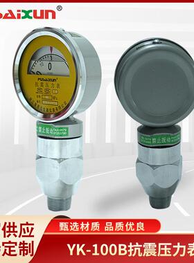 抗震压力表YK-100B压力测量表泥浆固井密封压力表压力仪表盘