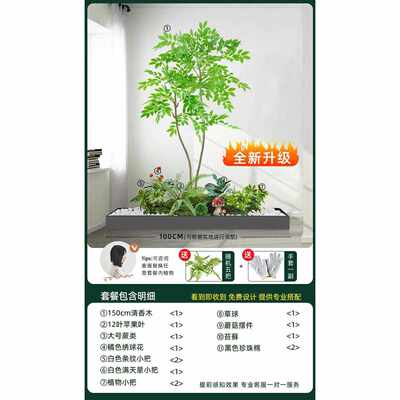 楼梯装饰植物玄关下角造景造景树假景观热带植组合室内仿真落绿