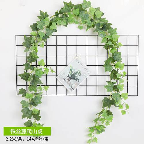 仿真藤条绿萝叶子装饰假遮丑绿植美化花藤水管管道遮挡空调绿叶花