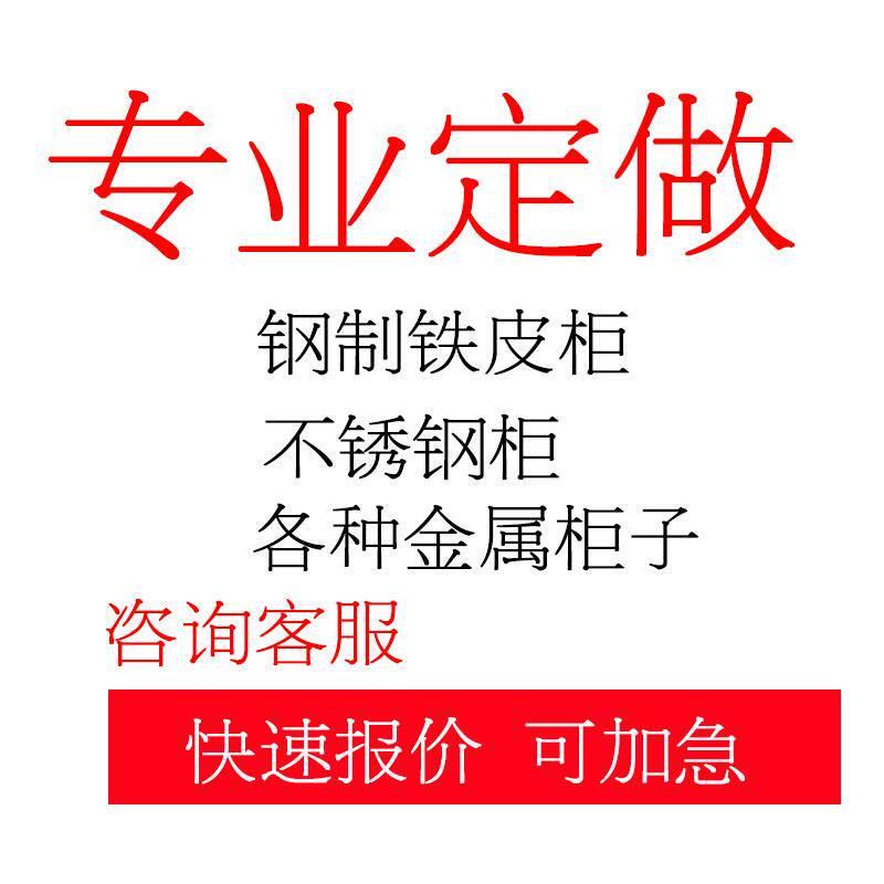 客制化双门钢柜 家用不锈钢简约金属矮储物柜 文件资料铁柜
