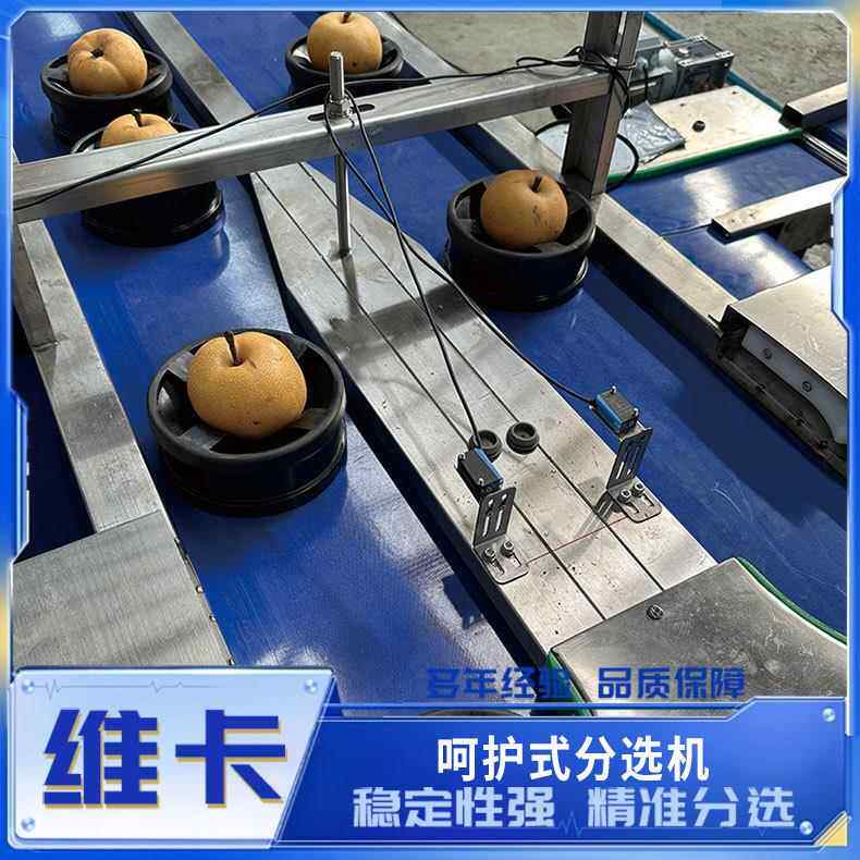 苹果秋月梨无损选果机一机多用功能多样草莓西瓜分级机分选机