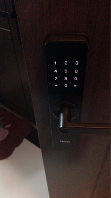 海尔指纹锁怎么样,值这个价位吗?