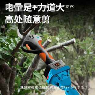 德国虎全臣JGE修枝加具长杆大功率园林工高枝剪电动伸杆缩自动麦