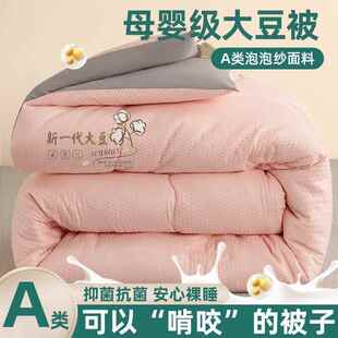 A类大豆维被厂家直供加厚保暖冬被学生单人春秋冬天纤被子被棉被