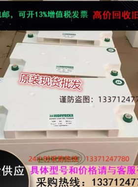 荷贝克蓄电池SB12-110 12V110AH 荷贝克胶体蓄电池 12V蓄电池包邮