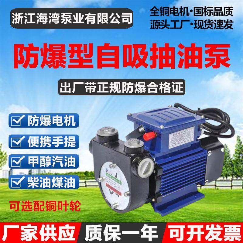 DYB-80/150自吸式防爆电动抽油泵手提式大流量甲醇汽油柴油加油泵