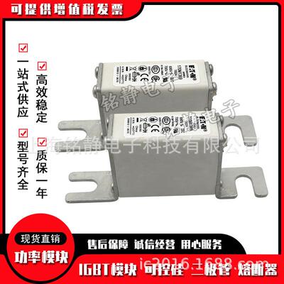 170M1368 170M1369 170M1370 170M1371巴斯曼熔断器现货170M1372