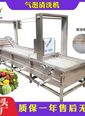 果蔬气泡清洗机白菜娃娃菜清洗去泥沙虫卵农残商用洗菜机器