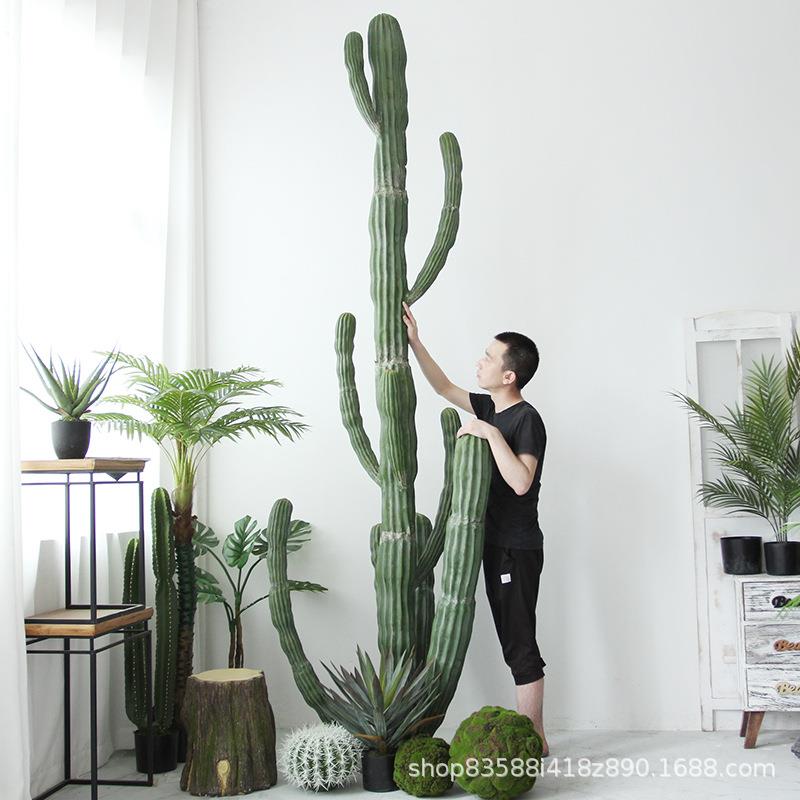 仿真仙人柱摩洛哥仙人掌沙生假植物网红民宿景观造景热带植物盆栽