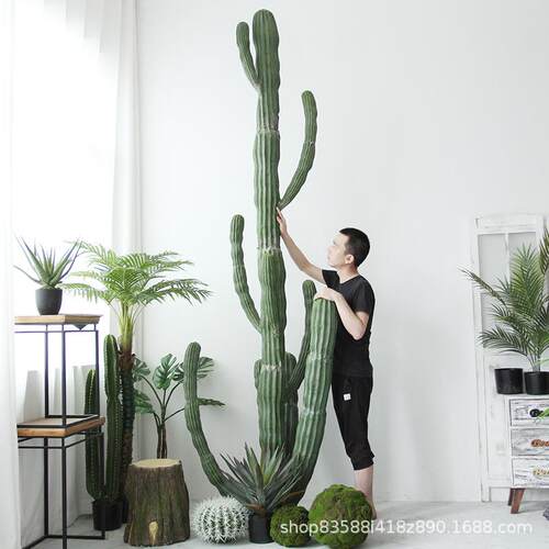 仿真仙人柱摩洛哥仙人掌沙生假植物网红民宿景观造景热带植物盆栽