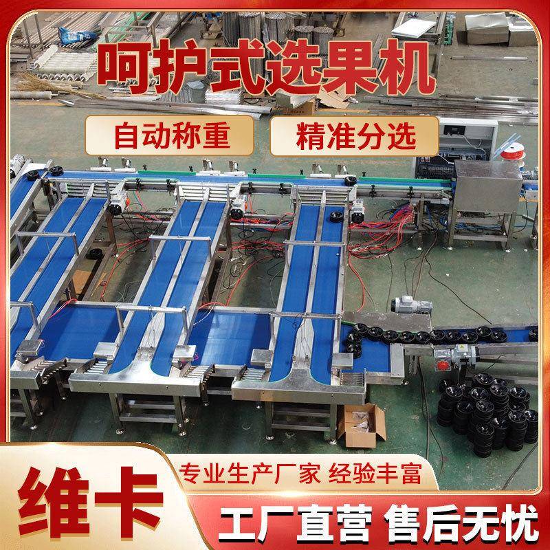 水果无损分拣机黄金桃称重选果机水蜜桃西瓜分级机选果机
