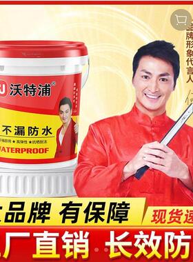 沃特浦顶不漏防水涂料何家劲代言屋顶裂缝漏水专用堵漏王补漏材料