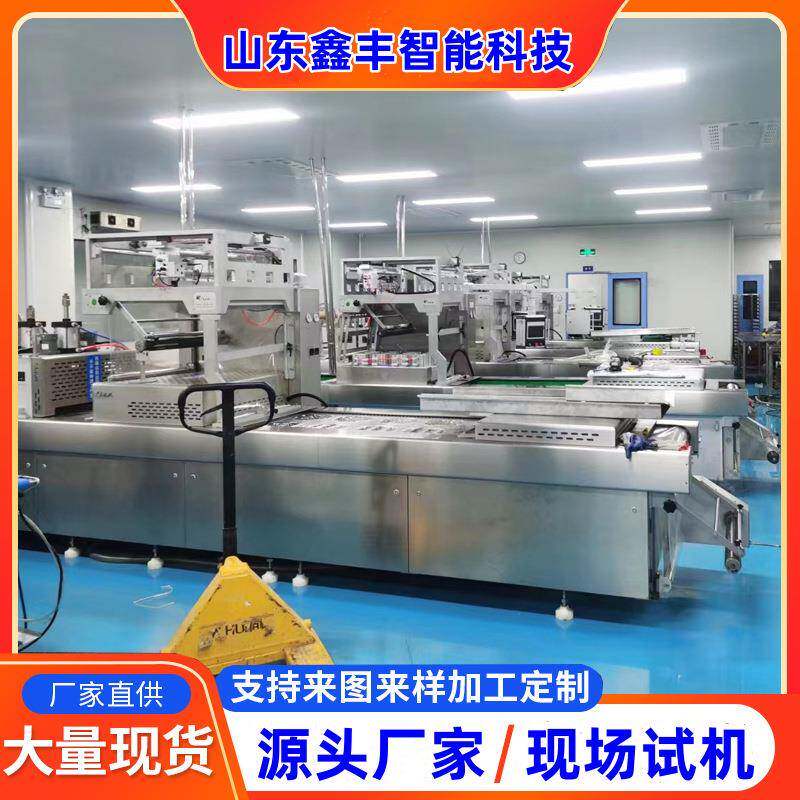 420连续式榴莲肉真空封口机 马来西亚榴莲肉拉伸膜真空包装机厂家