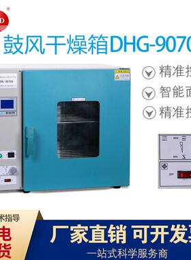 实验室鼓风干燥箱 DHG-9070A经济型数显恒温干燥箱 实验室烘箱