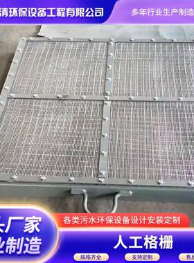 源头厂家PLS型人工格栅平板格栅平板格网专业生产