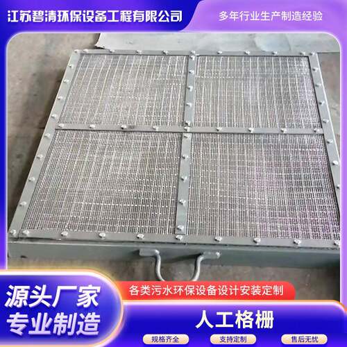 源头厂家PLS型人工格栅平板格栅平板格网专业生产