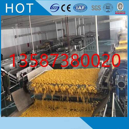 玉米速冻线青豌豆毛豆蚕豆西兰花速冻线薯条薯片