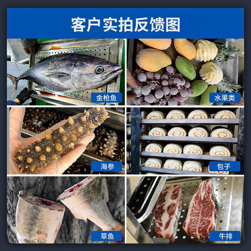 速速冷柜商用零下4度80度急冻插5盘冰箱包冻子饺子海参冻机