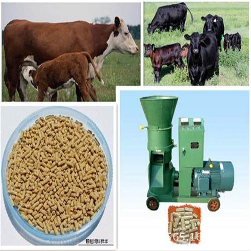 颗粒机水产观赏鱼类乌龟饲料膨化机大小型家用两相电饲料颗粒机