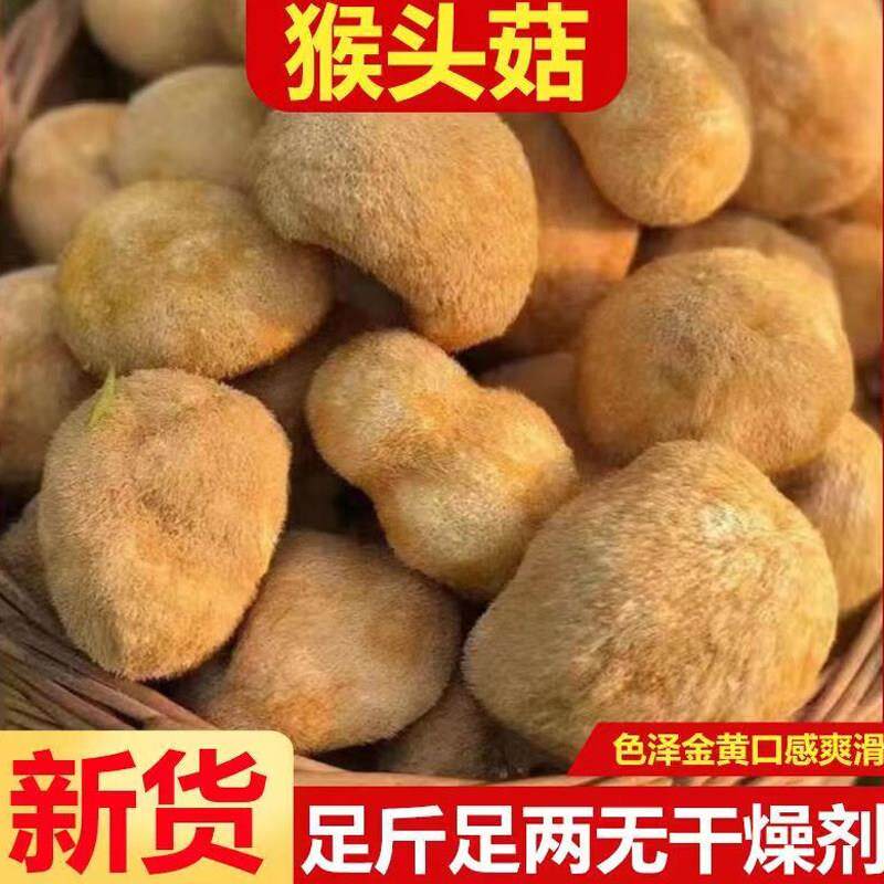 猴头菇干货500g包邮东北农家新货干香菇菌菇非野生无硫无霉土特产