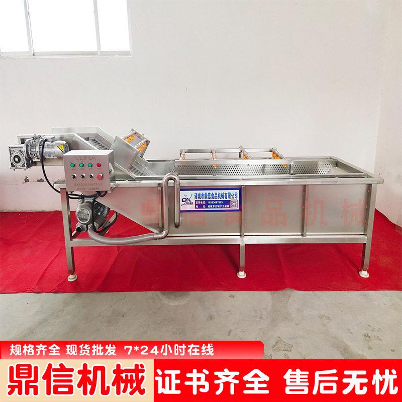 大型毛桃气泡清洗机压喷淋水果油桃清洗线草莓清洗加工设备