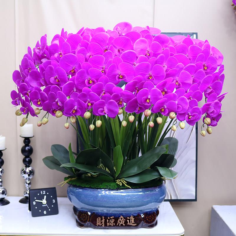高档仿真感花特号大保NBD湿手蝴蝶兰客厅茶几视装饰电柜玄关假花