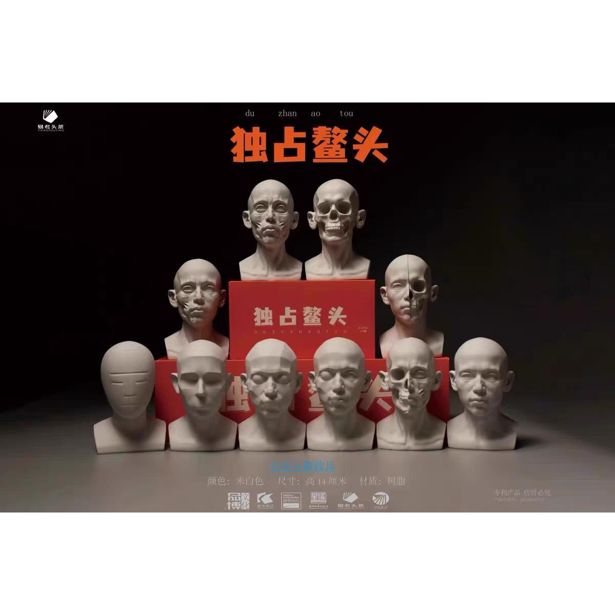 素描教具头骨石膏像双面人解剖美术生写生工具迷你版可任选