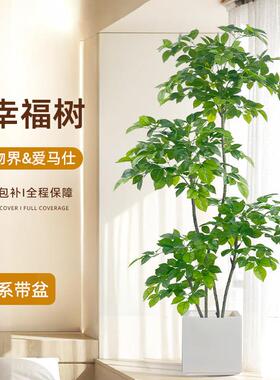 彷真植物幸福树发财树客厅大型落地假绿植室内家居装饰摆件假花