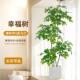 彷真植物幸福树发财树客厅大型落地假绿植室内家居装 饰摆件假花
