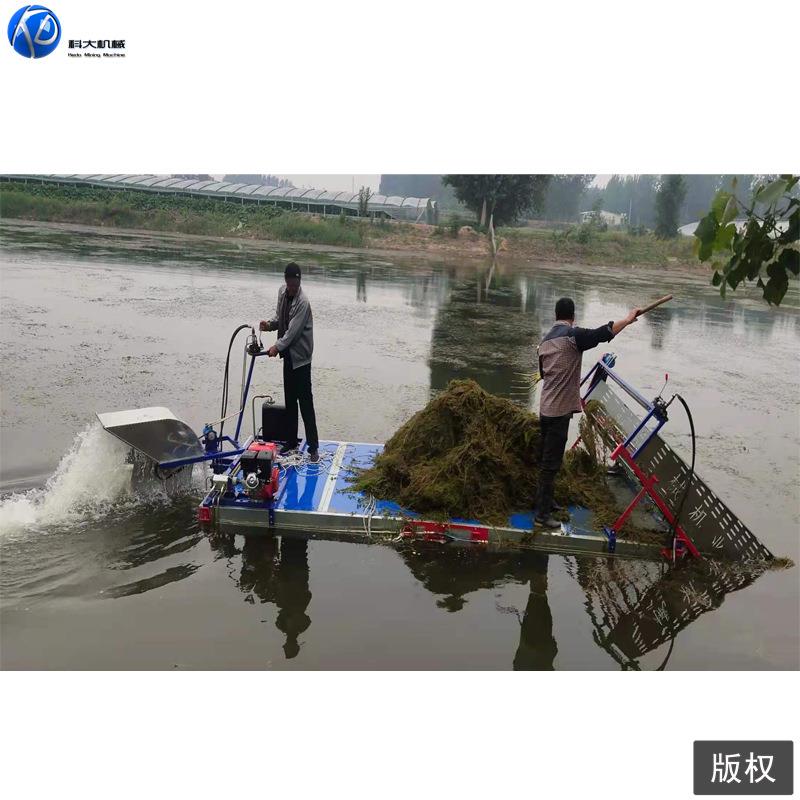 全自动水上割草船 泡沫平板捞草船 苇子浒苔打捞设备电动保洁船