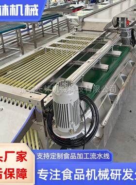 商用核桃选果机红枣山楂机器筛选分选机油桃柠檬分级机设备