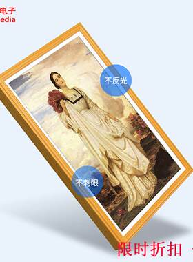 17寸22寸电子相框屏 BOE电子画框显示屏