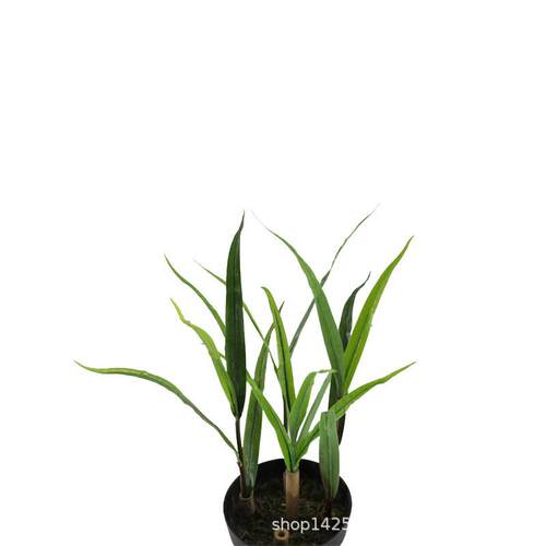 仿真玉米叶秋色玉米棒子农作植物假树叶玉米苗博物馆布景拍摄