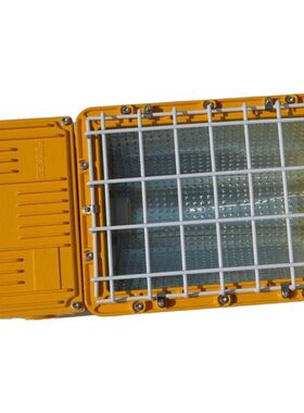 BTC6150防爆泛光灯250W400W一体式金卤灯钠灯防爆投光灯IP65壁装