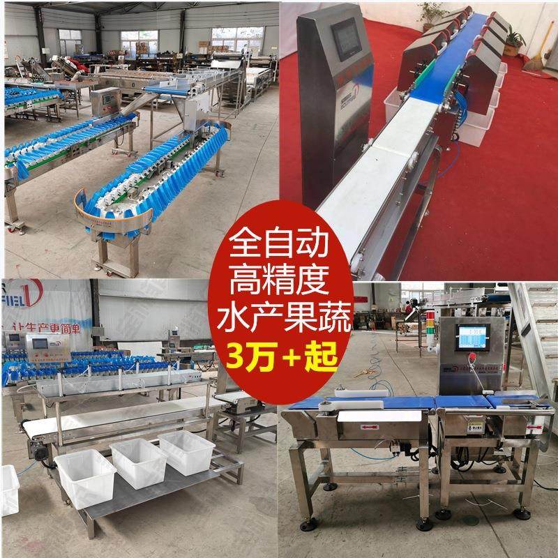 皮带重量分拣机 自动分级机鸡爪大小海参分捡机器 料盒称重分选机