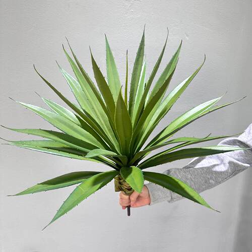 仿真剑兰龙舌兰盆栽假绿植王冠多肉剑麻树造景植物人造热带园林