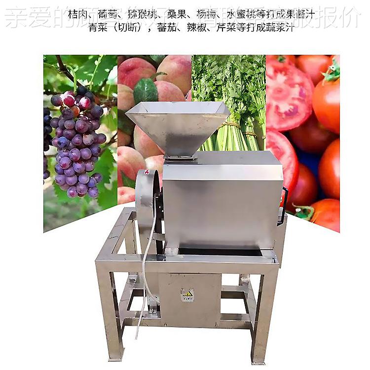 1榨电.5T动水果压机榨 蓝莓汁机958 红枣山楂去核打浆机