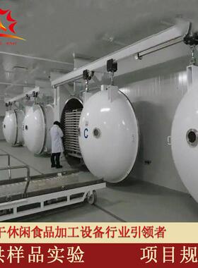100平方果蔬真空冷冻干燥机实验室用冷冻干燥机医不锈钢低温