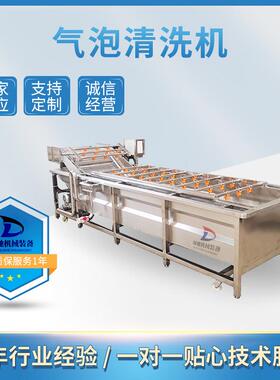 绿驰果蔬气泡清洗机食堂不锈钢圣女果喷淋清洗设备净菜加工设备