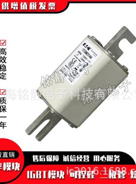 170M3019 170M3020 170M3021 170M3022巴斯曼熔断器现货170M3023