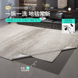 可拆洗地毯客厅轻奢高级免洗可擦灰色意式极简卧室地垫家用防水防