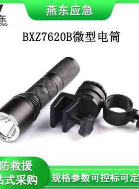 BXZ7620B微型电筒充电式巡检工作灯矿用可充电照明灯