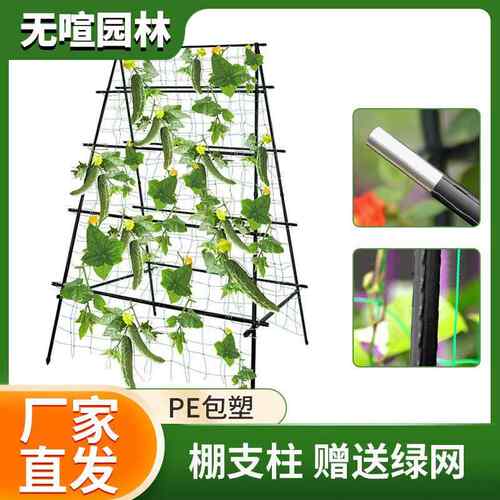 种菜园艺支架葡萄支撑柱架子攀爬架庭院爬藤花卉藤架庭院爬藤