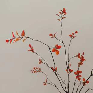 仿真红枫叶禅意枯枝春雨叶藤条仿真花小秋叶软装中国风假花叶子