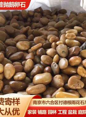 黄色鹅卵石普抛光黄色石子园林景观工程铺地雨花石产地