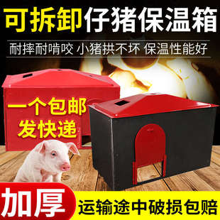 仔猪保温箱小猪加厚取暖箱母猪产床保暖箱兽用电热板猪用养殖设备