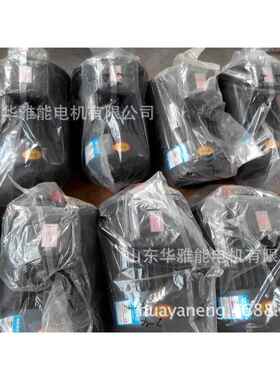 YP2电机V1安装JHM-112M-2-4电机法兰安装孔键和键槽长度相同