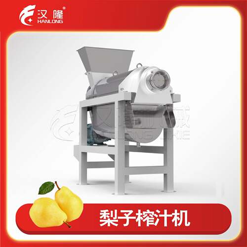 厂家直售不锈钢小型水果螺旋榨汁机电动压榨机果蔬梨子苹果榨汁机