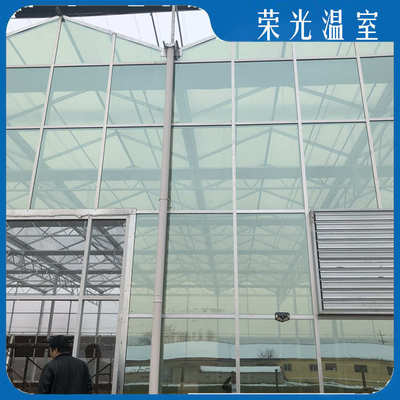 温室大棚遮阳洛栋大文连花卉温室花卉温室大棚果蔬式棚外玻璃智能