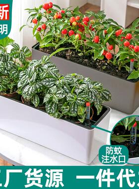 加厚款窄边种菜盆懒人花盆塑料阳台种菜长方形种植盆窗台花盆